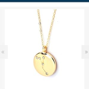 NWT Soul stacks cancer necklace